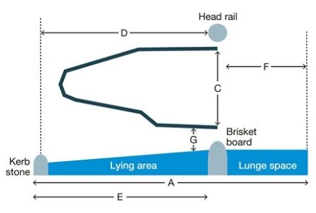A diagram showing cow cubicle dimensions.